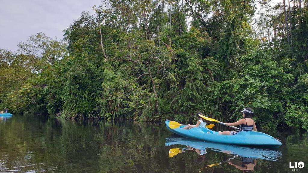 هتل هونی میو